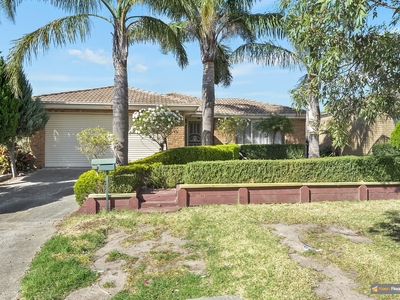 19 Ironbark Close , Hampton Park