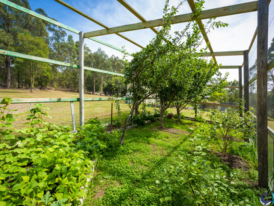 486 Punkalla Tilba Rd, Central Tilba