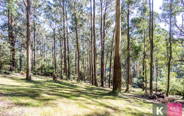 16 Lisheen Road, Cockatoo