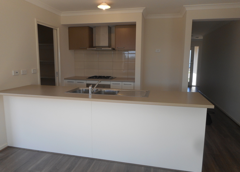 20 Palacio Terrace, Clyde North