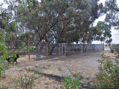 8267 Loddon Valley Highway, Durham Ox