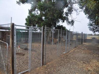 8267 Loddon Valley Highway, Durham Ox
