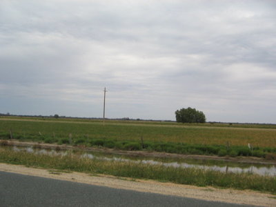 2236 Kerang Road, Murrabit