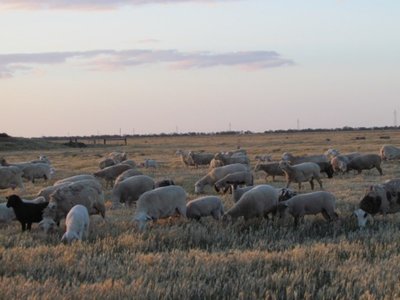 121 Lake Lookout Road, Kerang