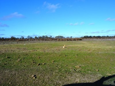 22 Baulch Road, Lake Charm