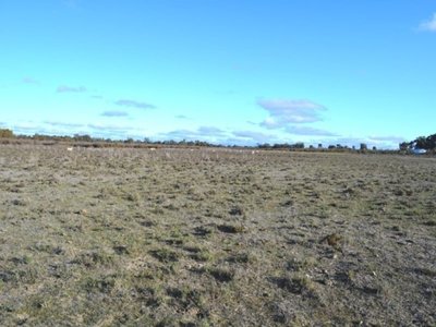 22 Baulch Road, Lake Charm