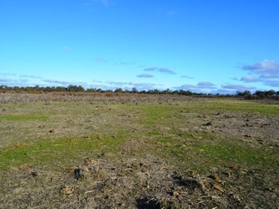 22 Baulch Road, Lake Charm