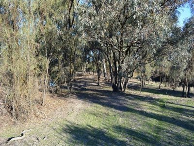 22 Baulch Road, Lake Charm