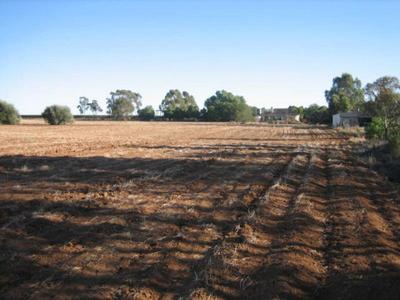 424 Gorton Drive, Kangaroo Lake