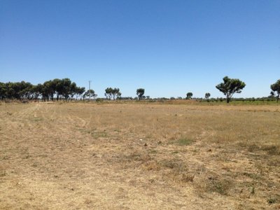 Lot 9, Collins Road, Kerang