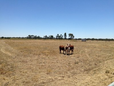 Lot 9, Collins Road, Kerang