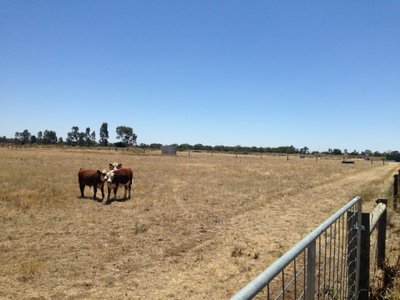 Lot 9, Collins Road, Kerang