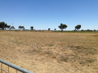 Lot 10, Collins Road, Kerang