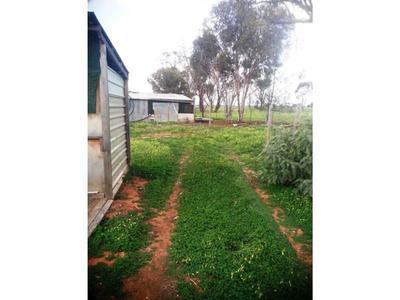Lot 1, Charlton-Borung Road, Wychitella North
