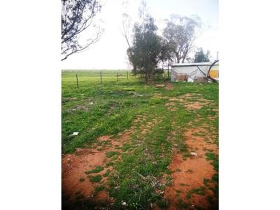 Lot 1, Charlton-Borung Road, Wychitella North