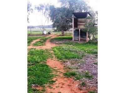Lot 1, Charlton-Borung Road, Wychitella North