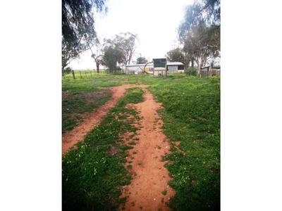Lot 1, Charlton-Borung Road, Wychitella North