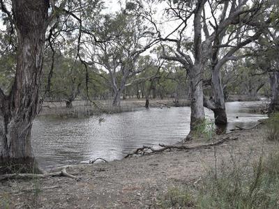 Lot 22, Gonn Road, Gonn