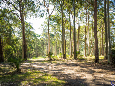 Lot 86, 130 Rainforest Parkway, Narooma