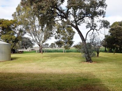572 Loddon Valley Highway , Durham Ox