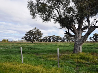 572 Loddon Valley Highway , Durham Ox