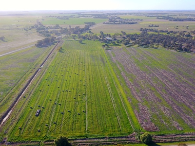 572 Loddon Valley Highway , Durham Ox