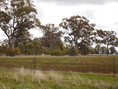 139 Gunn Road, Yabba North