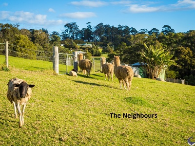 466 Old Highway, Narooma