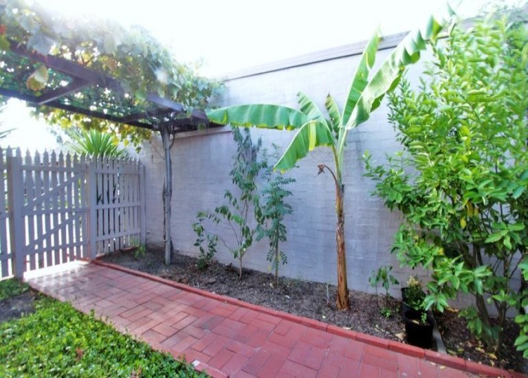 2 / 4 Kurrajong Avenue, Glen Waverley