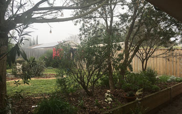 14 Leonard Avenue, Berwick