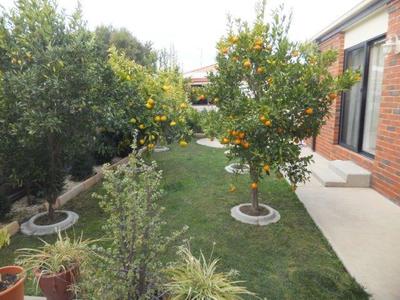 39 Palmer Road, Shepparton