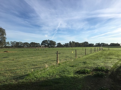 310 Boort-Kerang Road, Boort