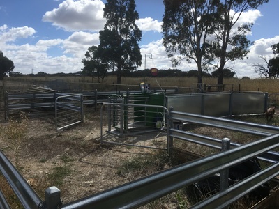 310 Boort-Kerang Road, Boort