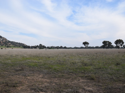 Pyramid Hill