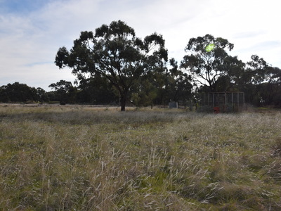 Pyramid Hill
