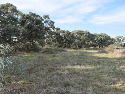 Pyramid Hill