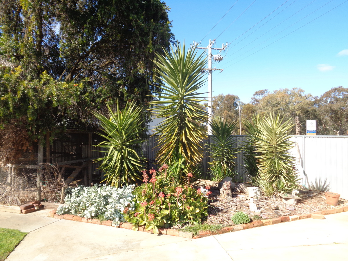 1 Moore Street, Rochester