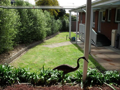 10 Mahoney Avenue, Mount Gambier