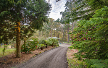 25 Mountain Road, Cockatoo