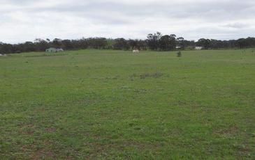 17 Josephine Drive, Wedderburn