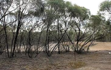 6840 Calder Highway, Wedderburn