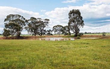 36 Inglewood Korong Vale Road, Wedderburn