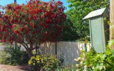 21 Hervey Street, Elmore