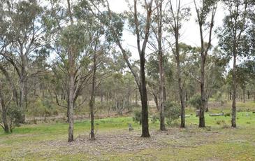 151 Congdon Road, Barkers Creek
