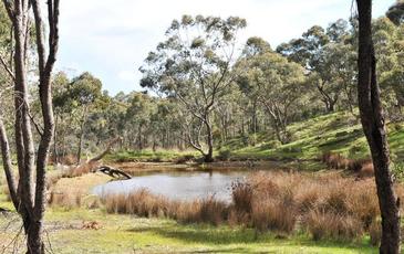 151 Congdon Road, Barkers Creek