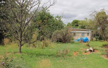 131 Michie Street, Elmore