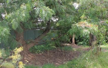 131 Michie Street, Elmore