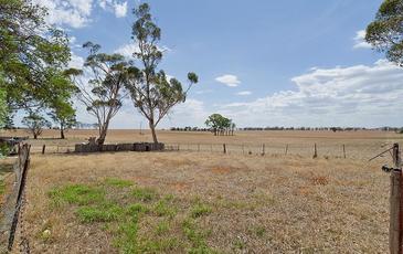 123 Shiells Lane, Joyces Creek
