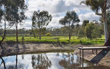49 Ranters Gully Road, Muckleford