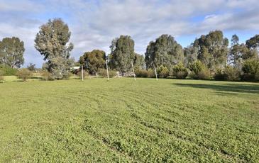 112 Playfair Street, Eddington